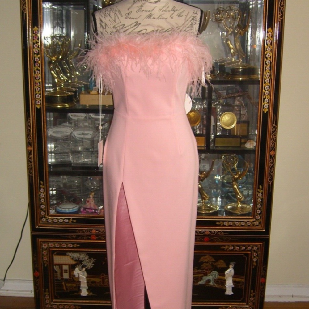 NWT MISS CIRCLE RACHEL PINK FEATHER MAXI HIGH SLIT DRESS S